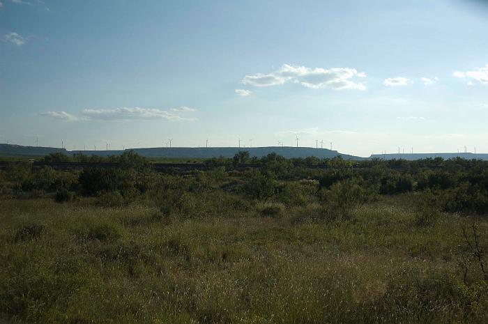 DSC_1967